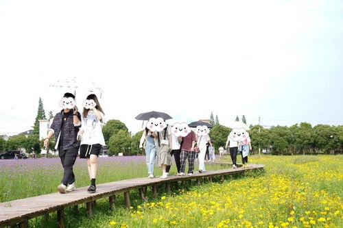 趣也青年 這個周末有點甜——戶外燒烤、游戲暢玩與花海打卡的動漫之旅